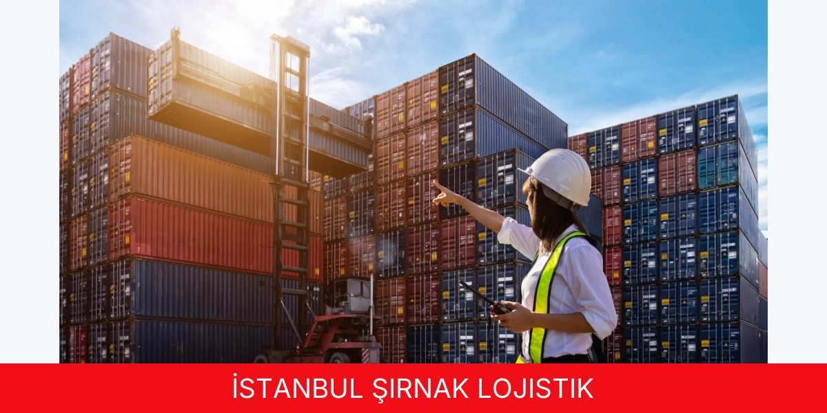 İstanbul Şırnak Lojistik