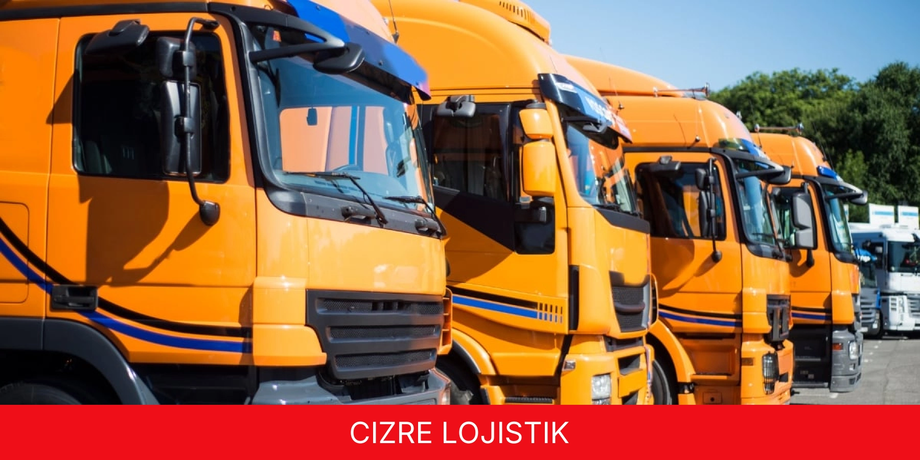 Cizre Lojistik