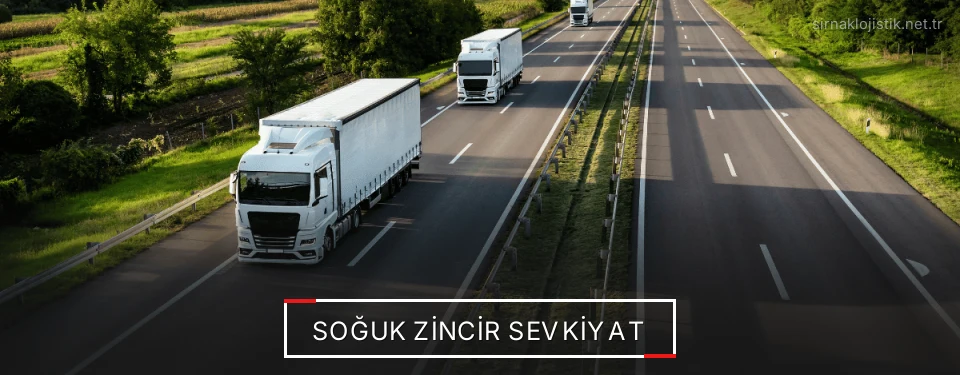 Şırnak Frigo Taşımacılık Firmaları