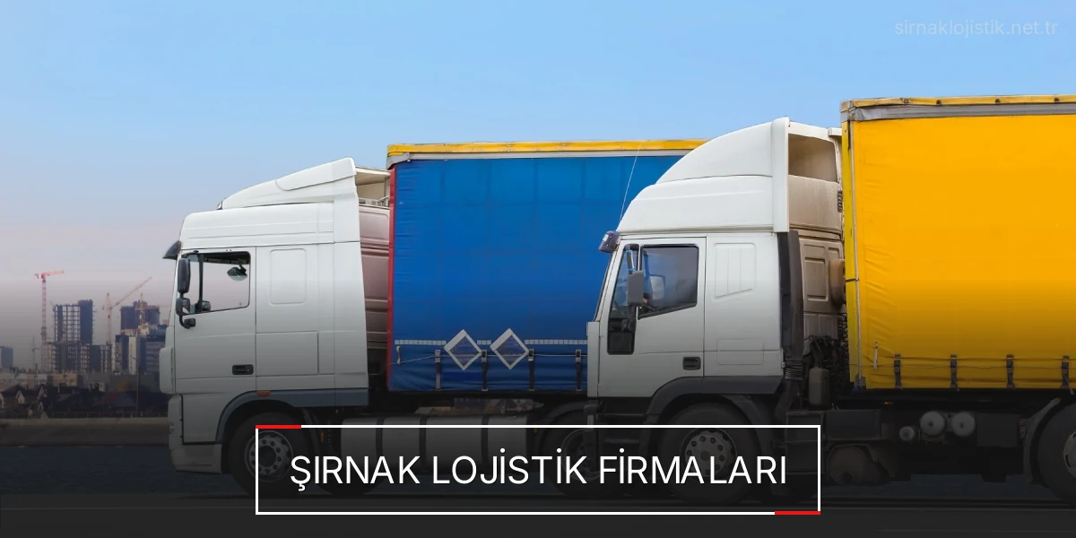 İstanbul Şırnak Lojistik Hızlı Teslimat ve Güvenli Depolama