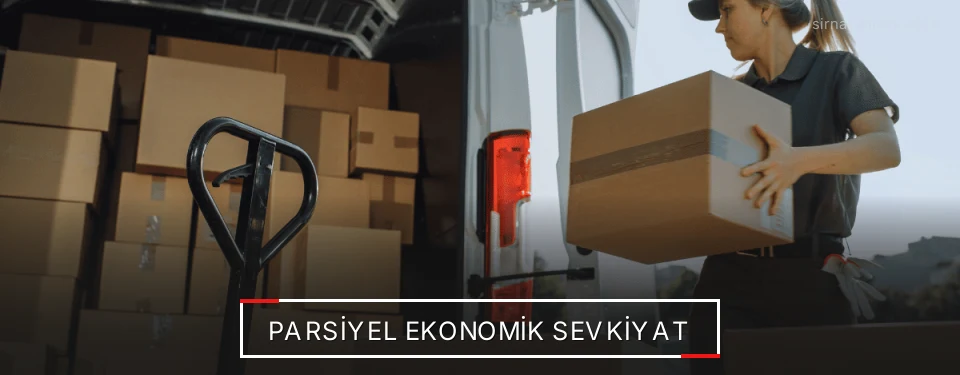 Şırnak Parsiyel Yük Lojistik Firmaları