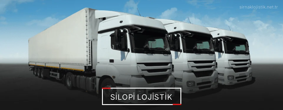 Silopi Lojistik Kargo